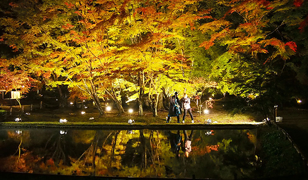 日本絶景舞踏旅