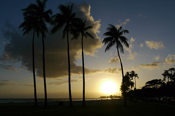 Hawaiiフラ紀行